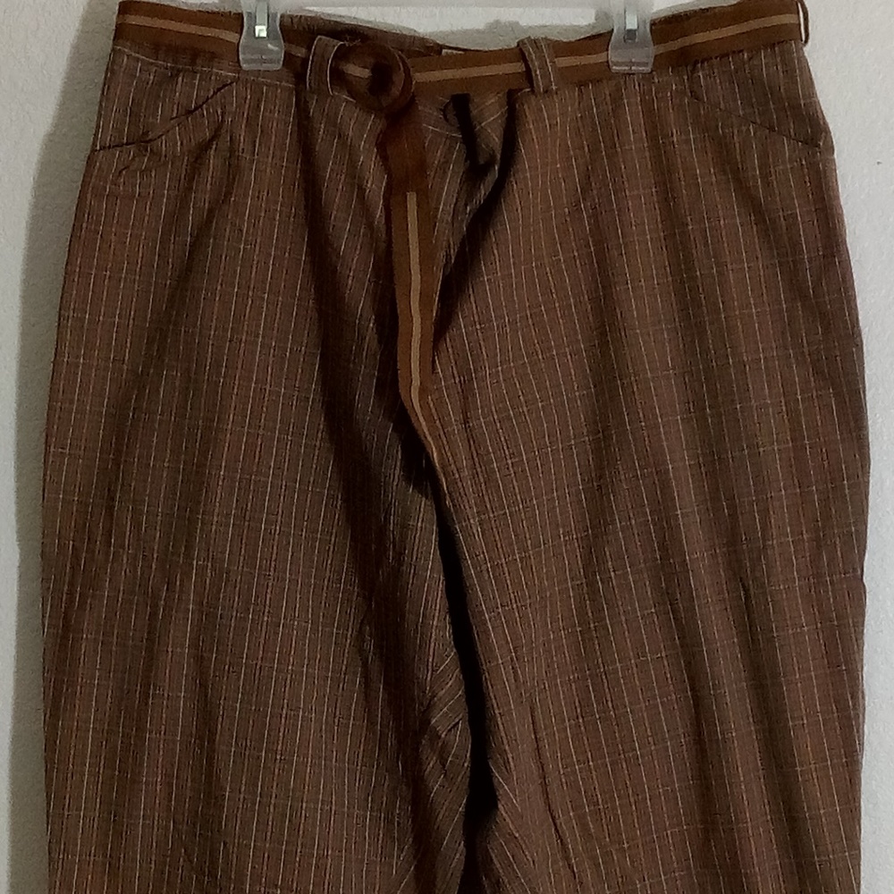 White Stag Women's Shorts Plus Size 26W Brown